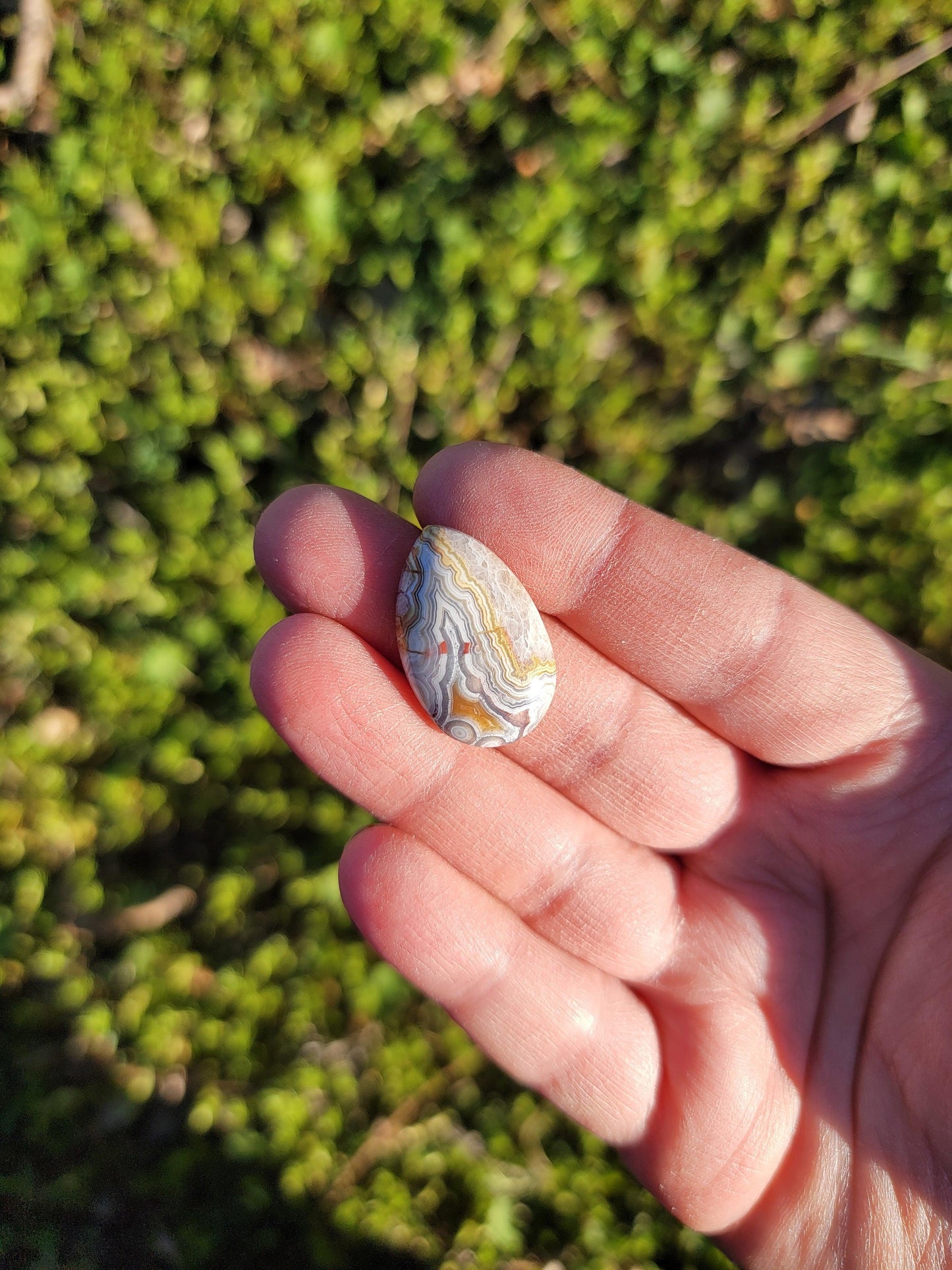 Crazy Lace Agate Cab - 25mm Tear Drop