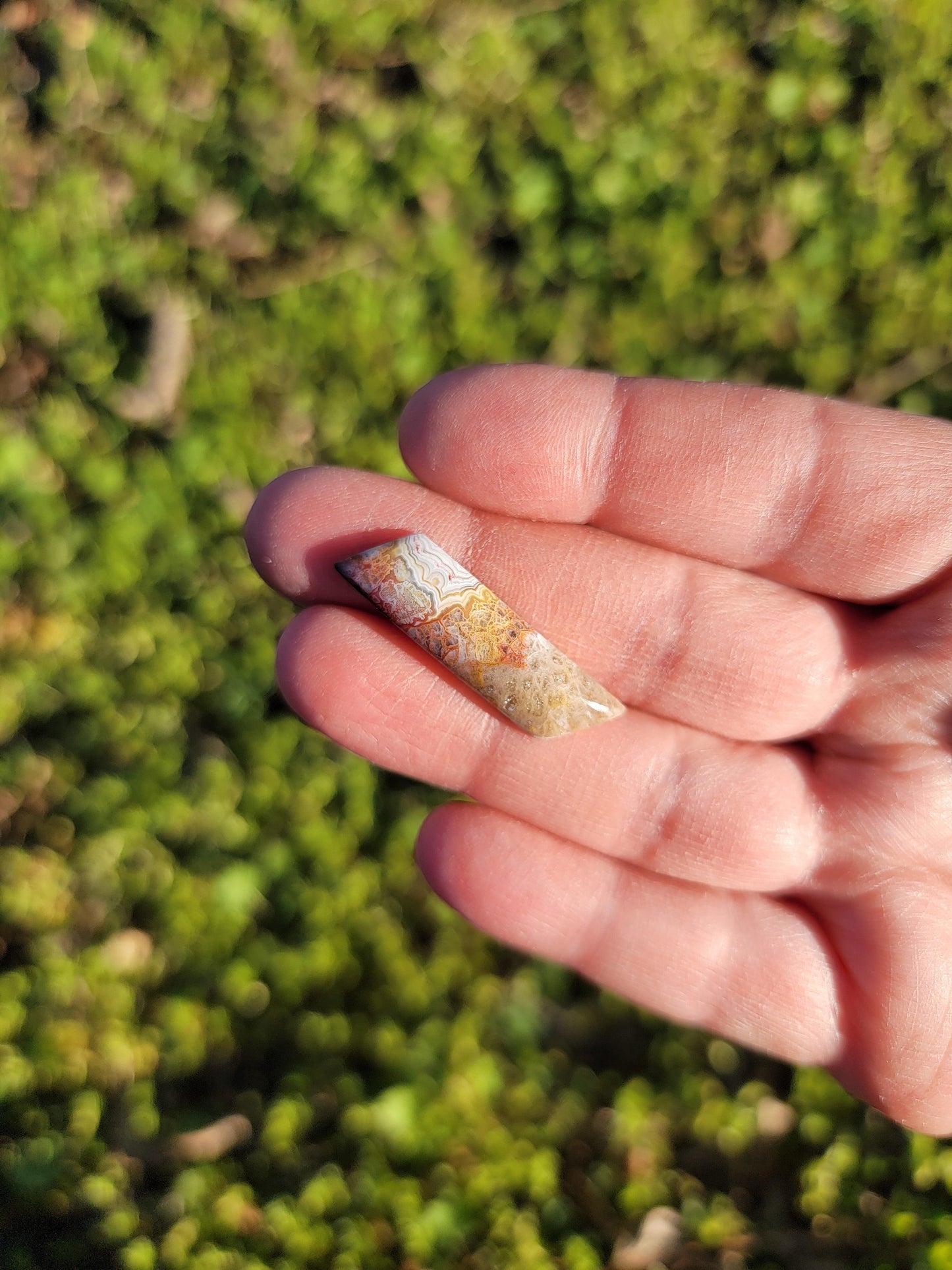 Crazy Lace Agate Cab - 30mm Parallelogram
