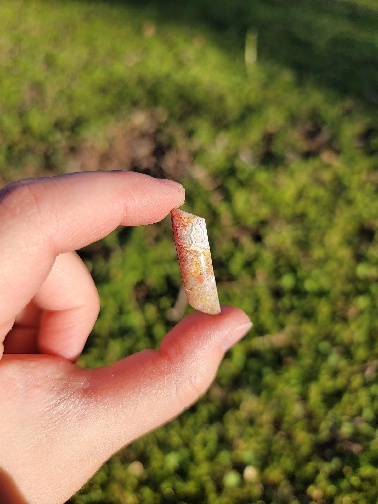 Crazy Lace Agate Cab - 30mm Parallelogram