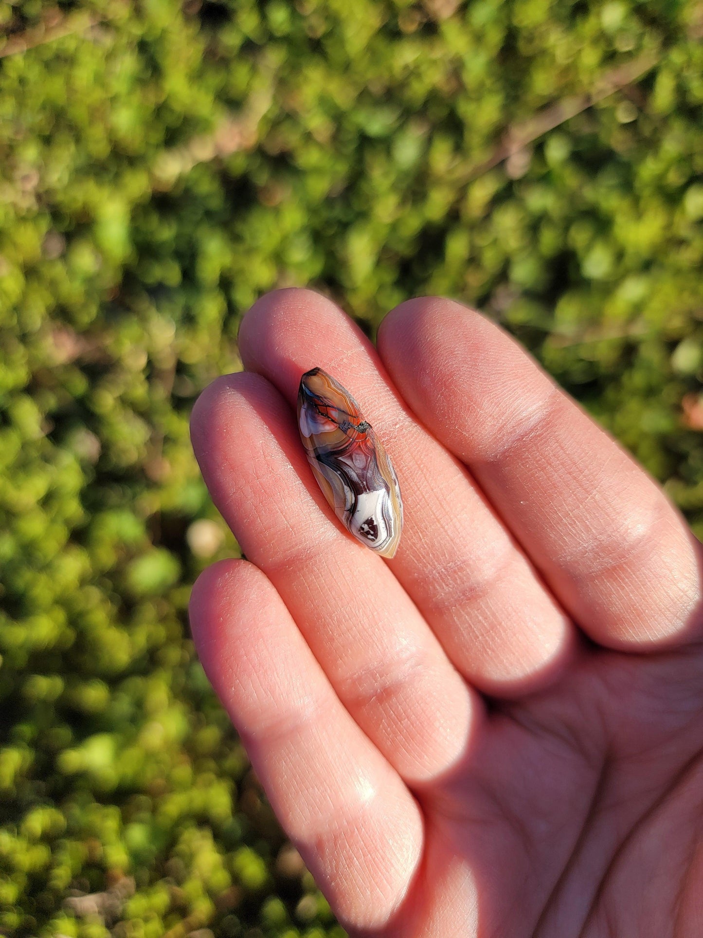 Crazy Lace Agate Cab - 25mm Marquise
