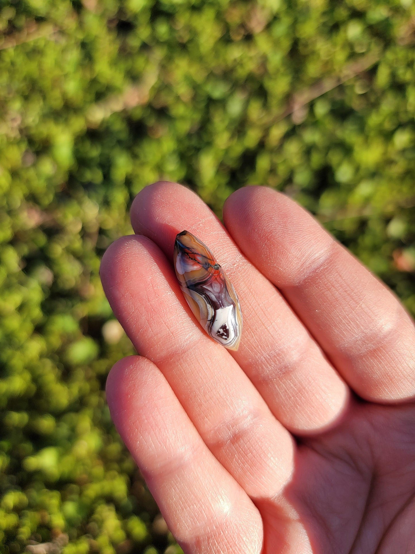 Crazy Lace Agate Cab - 25mm Marquise