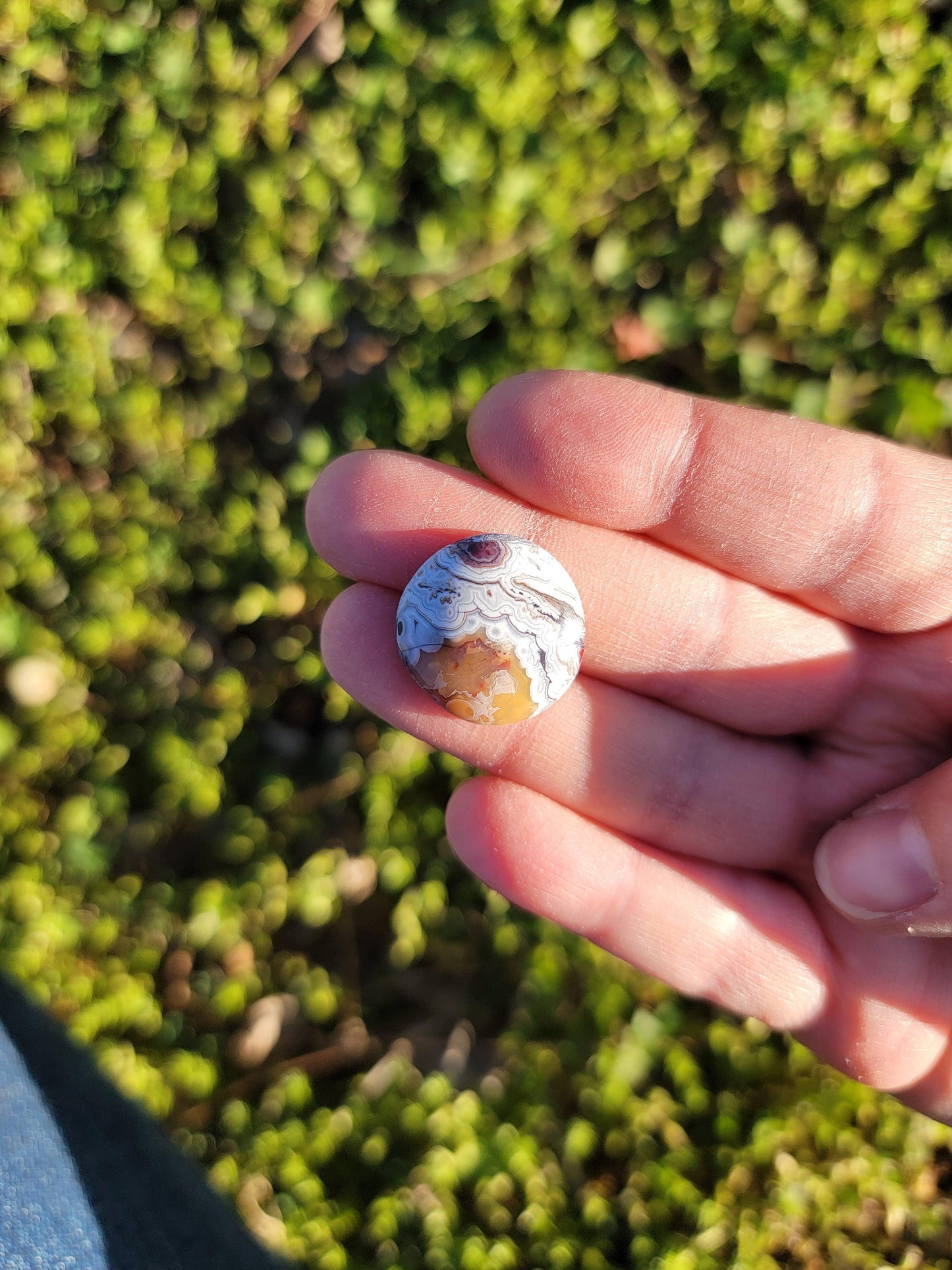 Crazy Lace Agate Cab - 19mm Round
