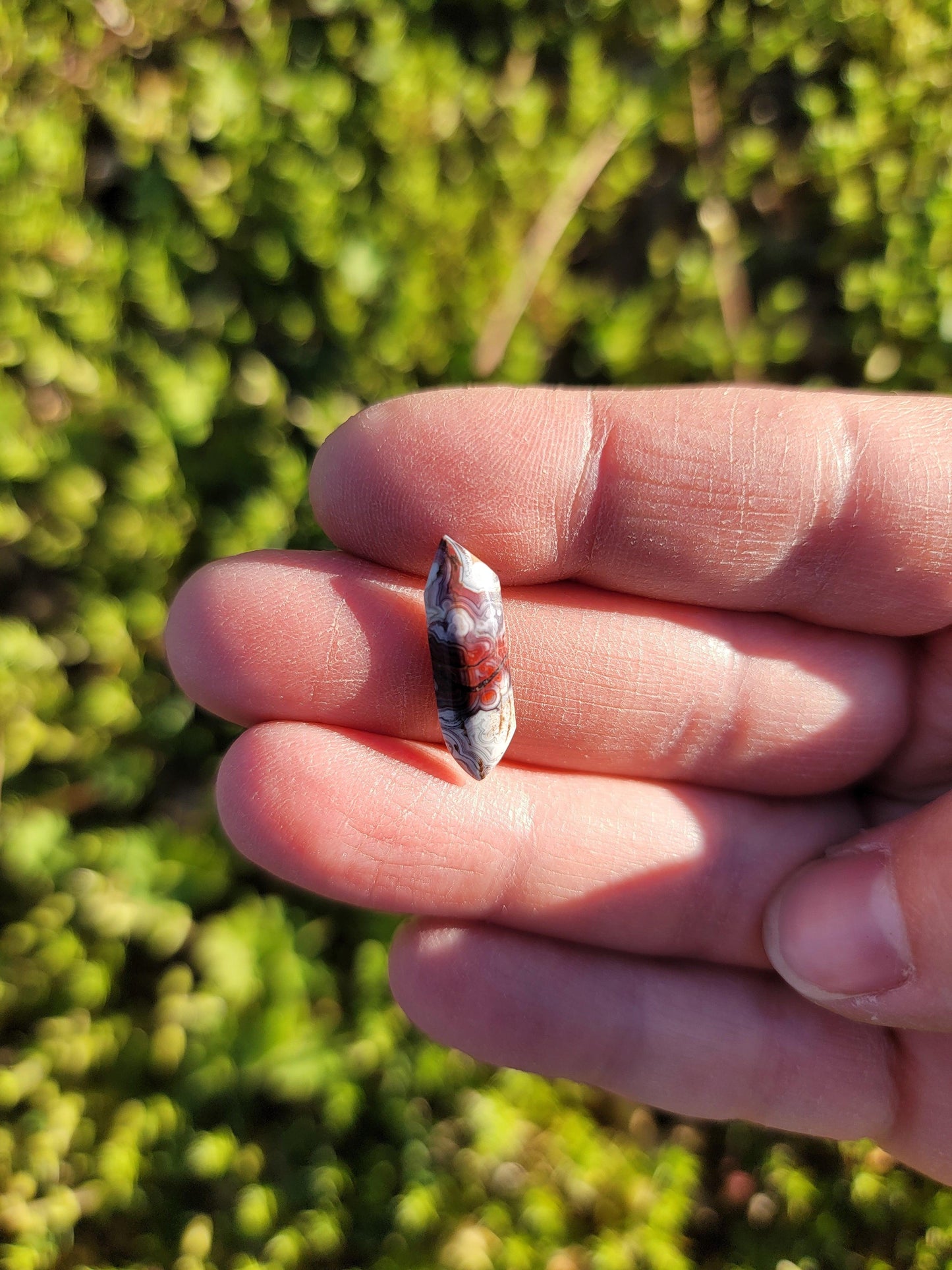 Crazy Lace Agate Cab - 19mm Pointed Rectangle