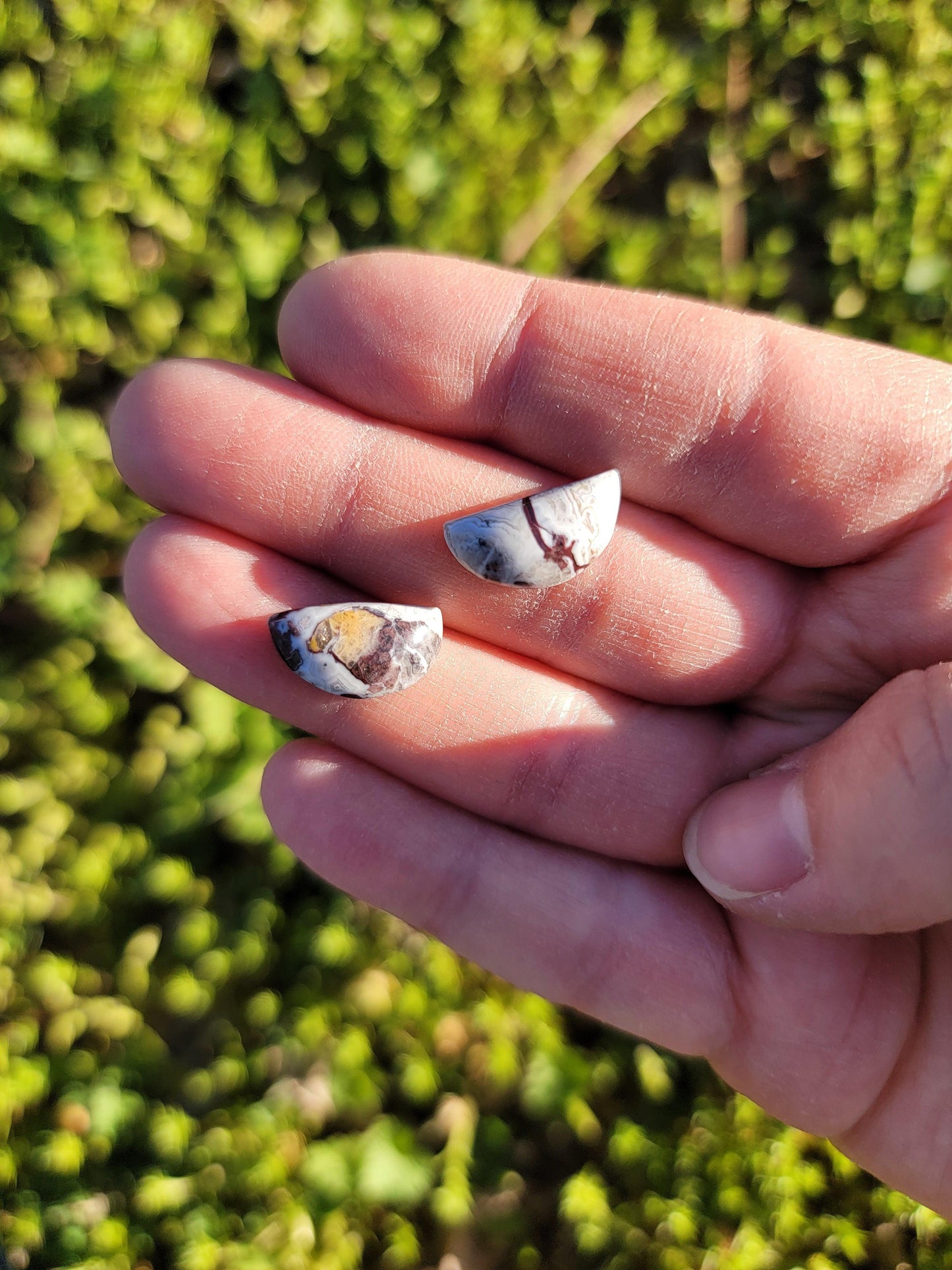 Crazy Lace Agate Cab Set of Two - 15mm Half Circles