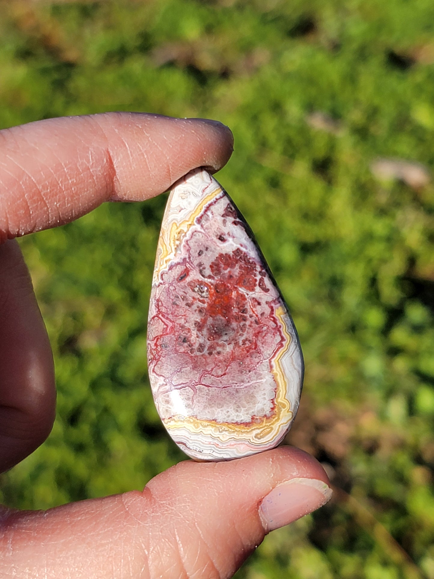 Crazy Lace Agate Cab - 44mm Drop