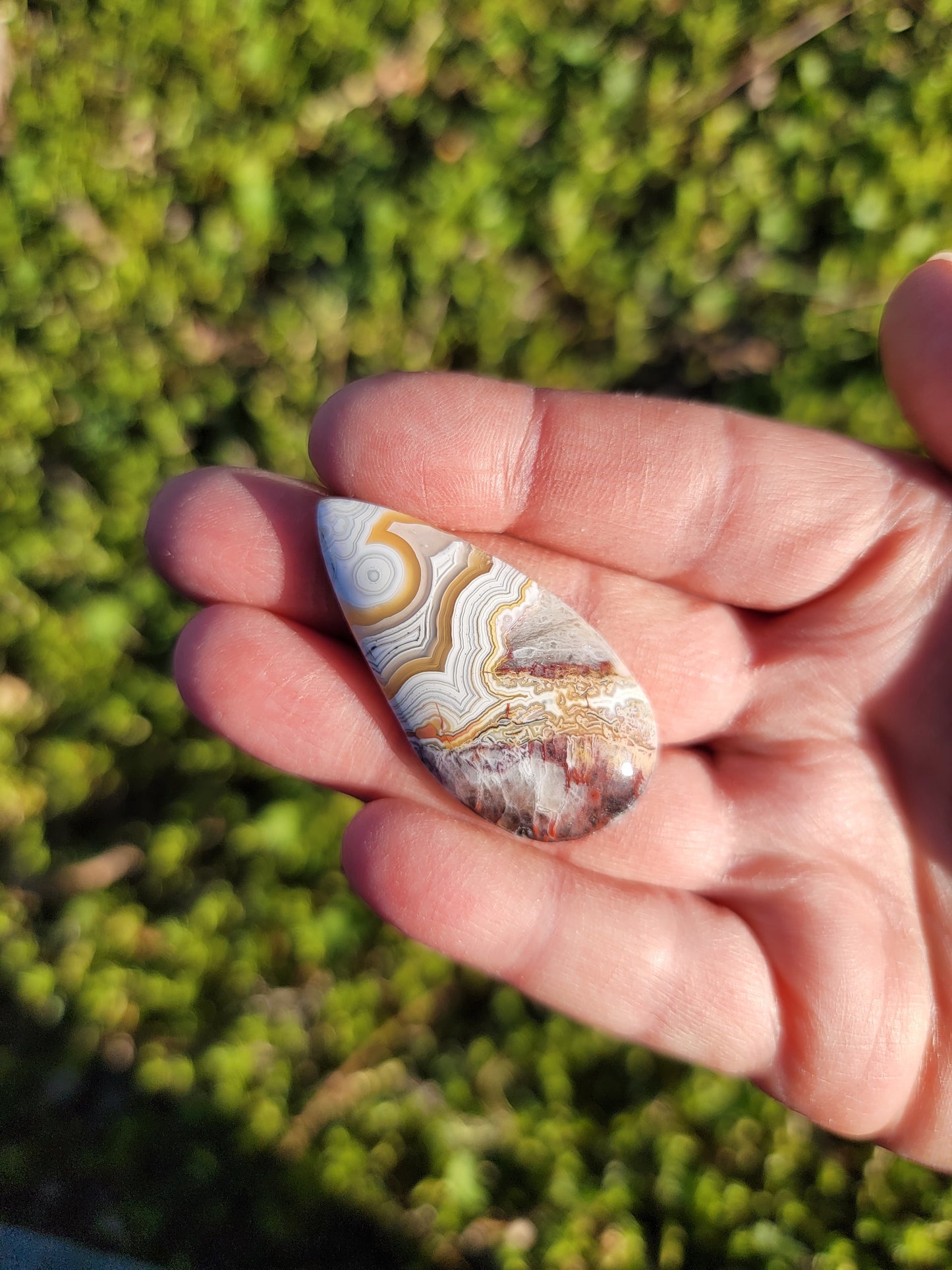 Crazy Lace Agate Cab - 43mm Drop