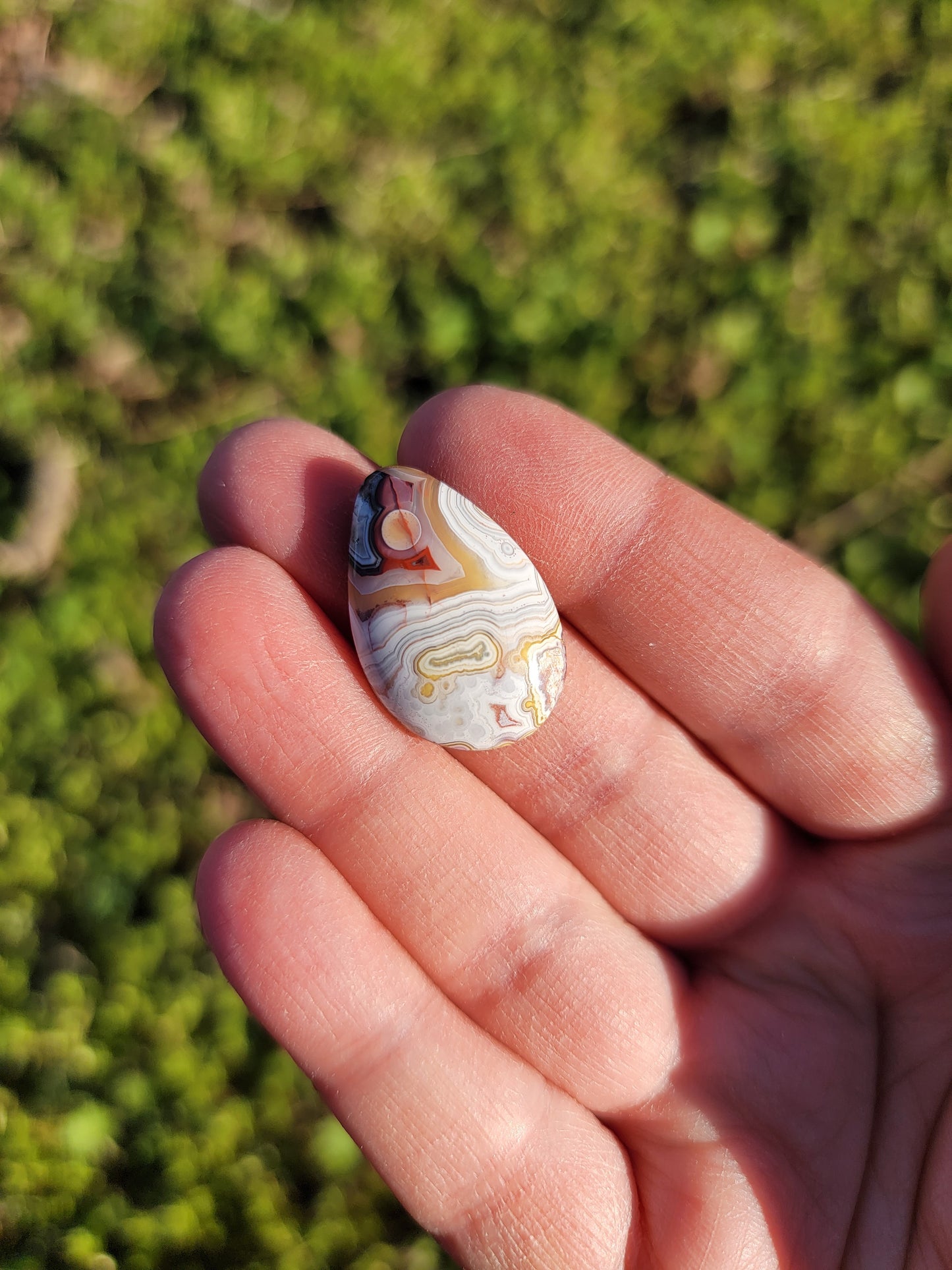 Crazy Lace Agate Cab - 25mm Drop