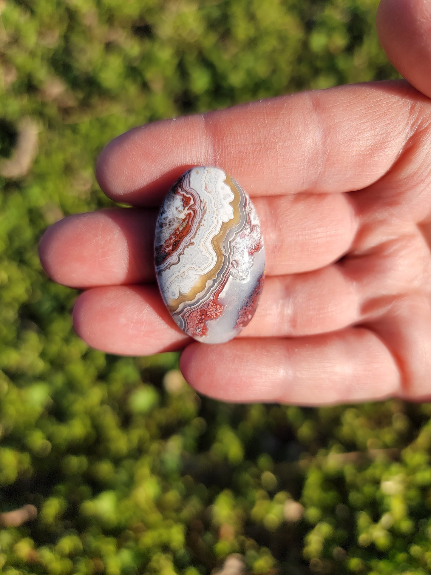 Crazy Lace Agate Cab - 33mm Oval