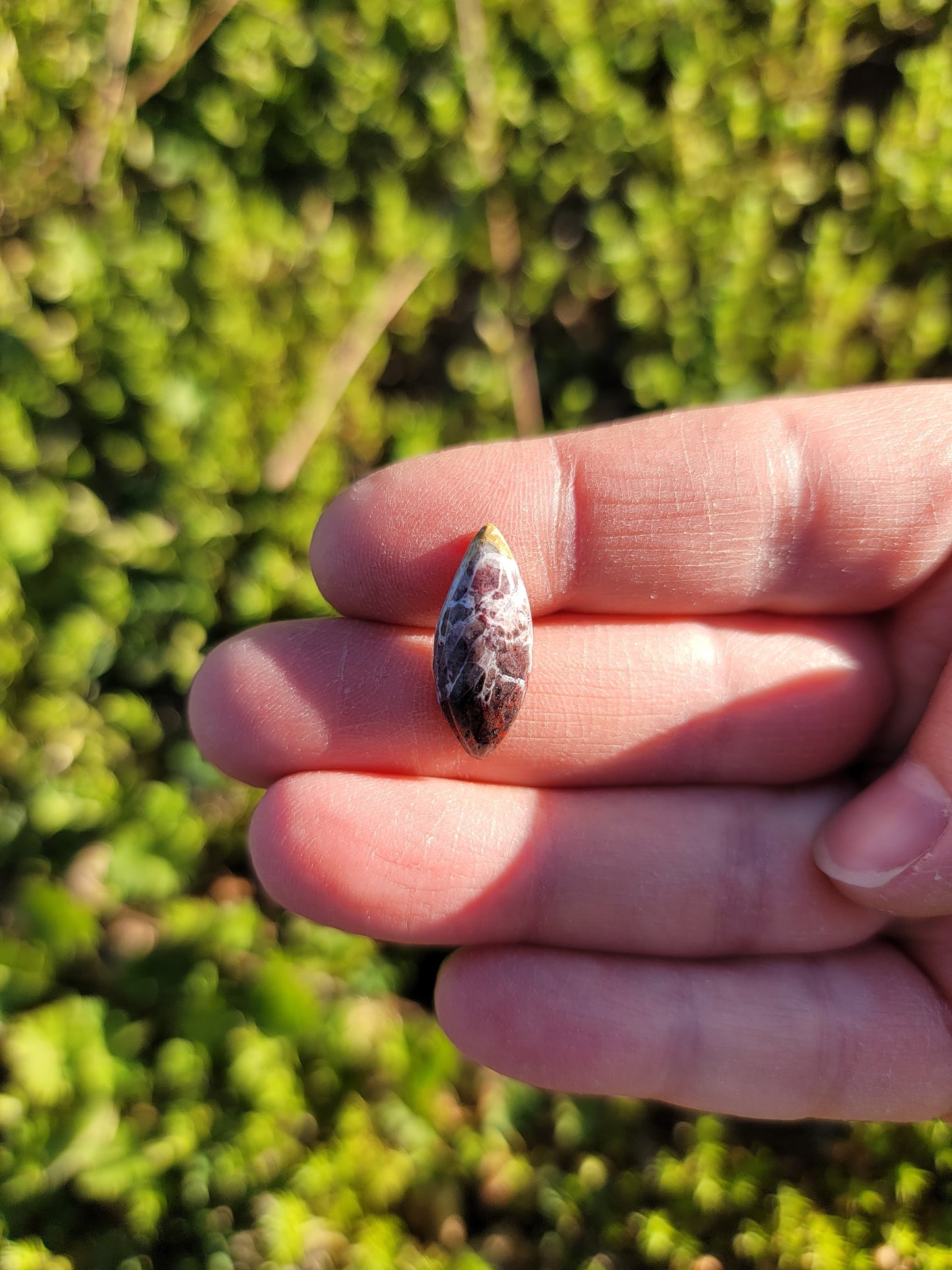 Crazy Lace Agate Cab - 19mm Marquise