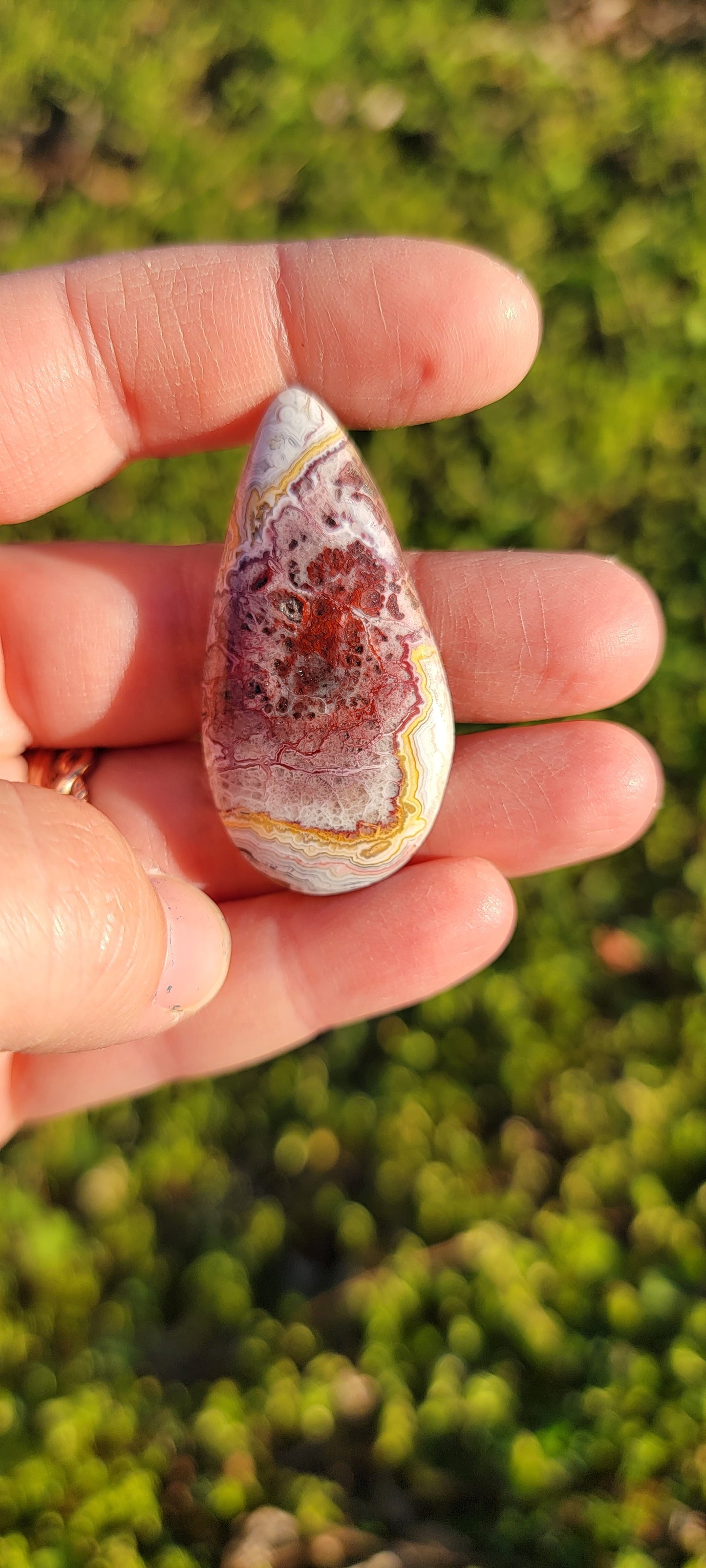 Crazy Lace Agate Cab - 44mm Drop