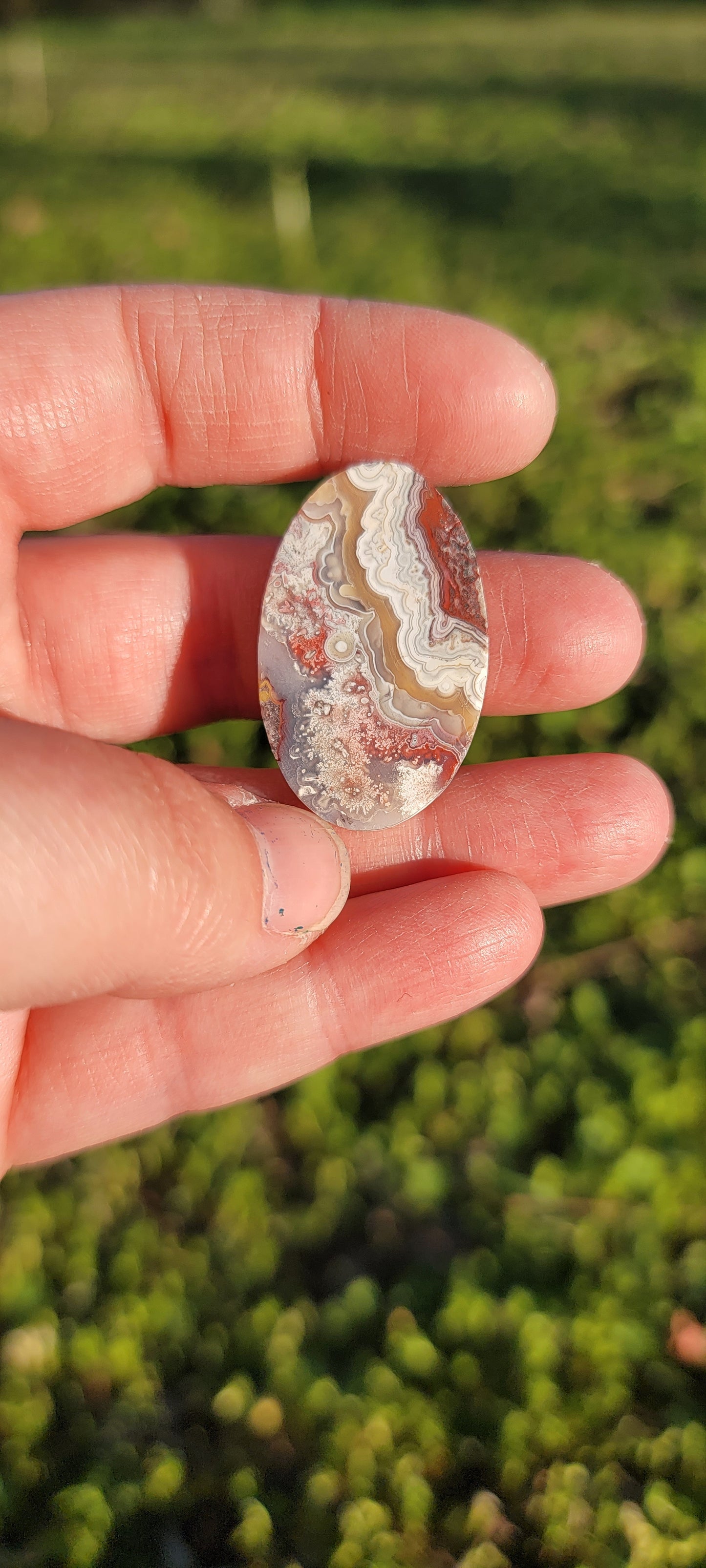 Crazy Lace Agate Cab - 33mm Oval